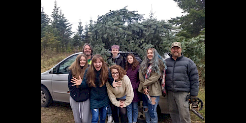 Pederson Christmas Trees